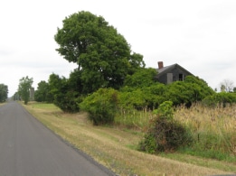 Old house in the brush and trees, Route 75 near corner of Chestnut Ridge Road
