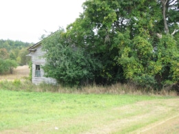 Old house in the brush and trees, Route 75 near corner of Chestnut Ridge Road