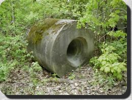 Poor's Island Papermill ruins